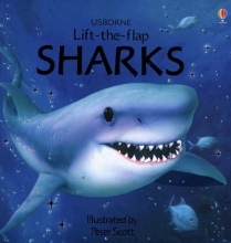 Cover art for Sharks (Usborne Lift-the-Flap Learners)