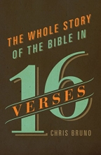 Cover art for The Whole Story of the Bible in 16 Verses