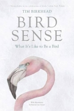 Cover art for Bird Sense: What It's Like to Be a Bird