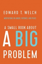 Cover art for A Small Book about a Big Problem: Meditations on Anger, Patience, and Peace