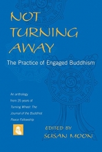 Cover art for Not Turning Away: The Practice of Engaged Buddhism