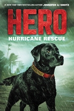 Cover art for Hero: Hurricane Rescue