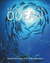 Cover art for Spirit of the Ocean: Discover the Beauty of Our Underwater World