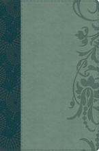 Cover art for The Study Bible for Women, Teal/Sage LeatherTouch