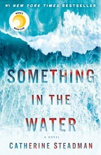 Cover art for Something in the Water: A Novel