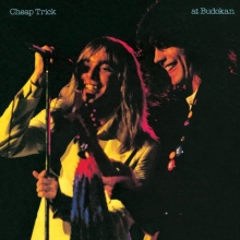 Cover art for At Budokan