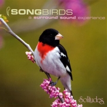 Cover art for Songbirds: A Surround Sound Experience [SACD]