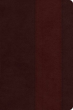 Cover art for Holy Bible: English Standard Version, Brown / Burgundy, TuTone Band Design, Single Column Heritage Bible