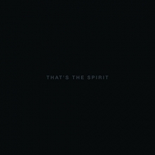 Cover art for That's The Spirit