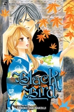 Cover art for Black Bird, Vol. 17