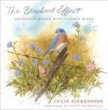 Cover art for The Bluebird Effect: Uncommon Bonds with Common Birds