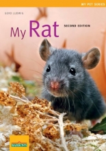 Cover art for My Rat (My Pet Series)