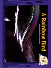 Cover art for A Rainbow Bird Sb (Pair-it books)