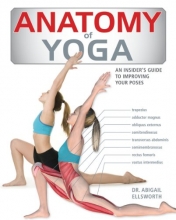 Cover art for Anatomy of Yoga: An Instructor's Inside Guide to Improving Your Poses