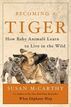 Cover art for Becoming a Tiger: How Baby Animals Learn to Live in the Wild