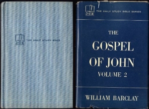 Cover art for The Gospel of John, Vol. 2, 2nd Edition