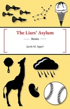 Cover art for The Liars' Asylum