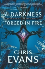 Cover art for A Darkness Forged in Fire (Series Starter, Iron Elves #1)