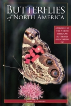 Cover art for Butterflies of North America