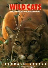 Cover art for Wild Cats: Lynx Bobcats Mountain Lions