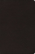 Cover art for ESV Heirloom Thinline Bible (Goatskin, Black)