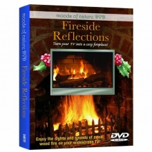 Cover art for Fireside Reflections