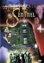 Cover art for The Sentinel