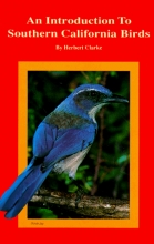 Cover art for An Introduction to Southern California Birds