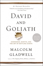Cover art for David and Goliath: Underdogs, Misfits, and the Art of Battling Giants (Large Print)