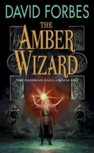 Cover art for The Amber Wizard: The Osserian Saga: Book One