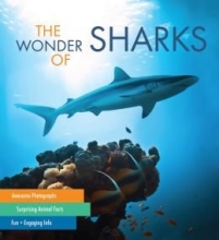 Cover art for The Wonder of Sharks