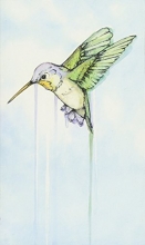 Cover art for Hummingbird: Essays (Genuine Rare Bird Book)