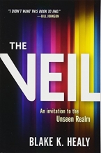 Cover art for The Veil: An Invitation to the Unseen Realm