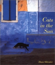 Cover art for Cats in the Sun