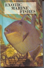 Cover art for Exotic Marine Fishes