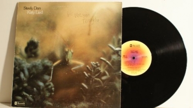 Cover art for Katy Lied