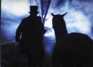 Cover art for My Morning Jacket: Okonokos, The Concert
