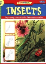 Cover art for Insects: Step-by-Step Instructions for 26 Creepy Crawlies (Draw and Color)