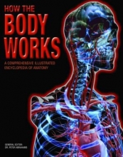 Cover art for How the Body Works