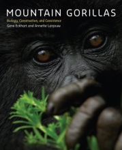 Cover art for Mountain Gorillas: Biology, Conservation, and Coexistence