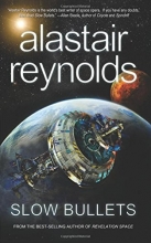 Cover art for Slow Bullets