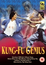 Cover art for Kung Fu Genius