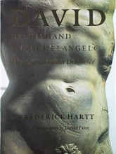 Cover art for David by the Hand of Michelangelo