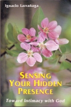 Cover art for Sensing Your Hidden Presence: Toward Intimacy with God