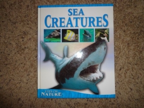 Cover art for Eyes on Nature Sea Creatures