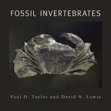 Cover art for Fossil Invertebrates