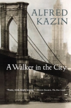 Cover art for A Walker in the City