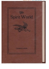 Cover art for The Spirit World