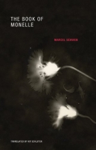 Cover art for The Book of Monelle