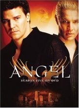 Cover art for Angel - Season Five